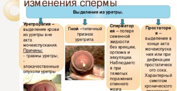 Из уретры кровяные выделения