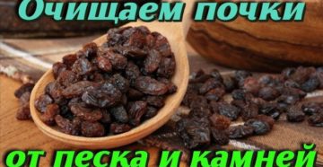 Чем можно почистить почки от песка