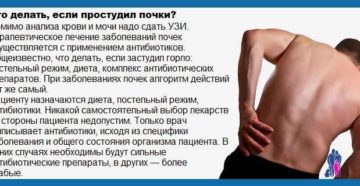 Если продуло почки признаки