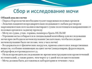 Какие анализы нужно сдать чтобы проверить почки у ребенка