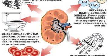 Чтобы почки лучше работали
