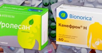Что лучше канефрон или уролесан при болях в почках
