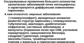 Диффузно неоднородные изменения структуры синусов обеих почек