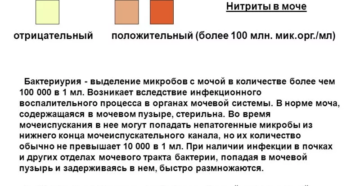 Нитриты в моче что это