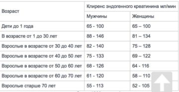 Норма креатинина в крови у мужчин
