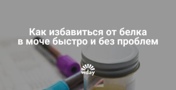 Как вывести белок из мочи