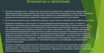 Общая этиология и патогенез нарушений функций почек