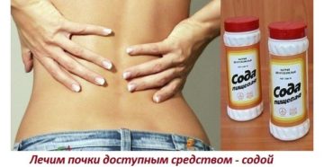 Чем лучше подлечить почки