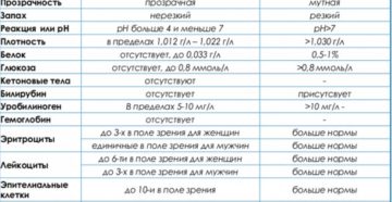 Какой анализ мочи сдают на пиелонефрит