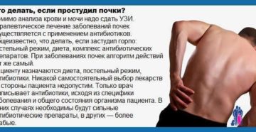 Заболели почки после простуды