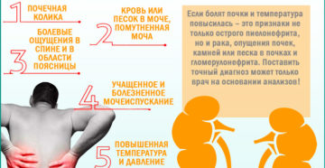 Почему может болеть почка правая