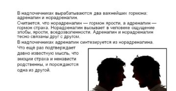 Адреналин и норадреналин вырабатываются в