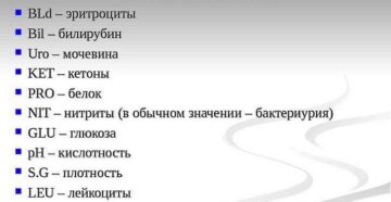 Анализ мочи блд