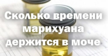 Канабис в моче
