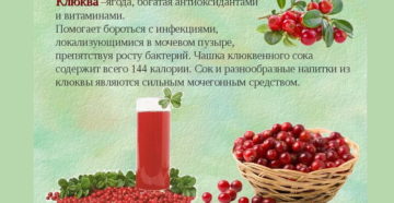 Как пить клюкву для почек