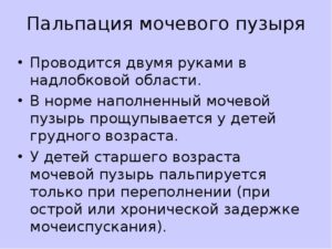 Пальпация почки и мочевого пузыря