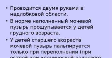 Пальпация почки и мочевого пузыря