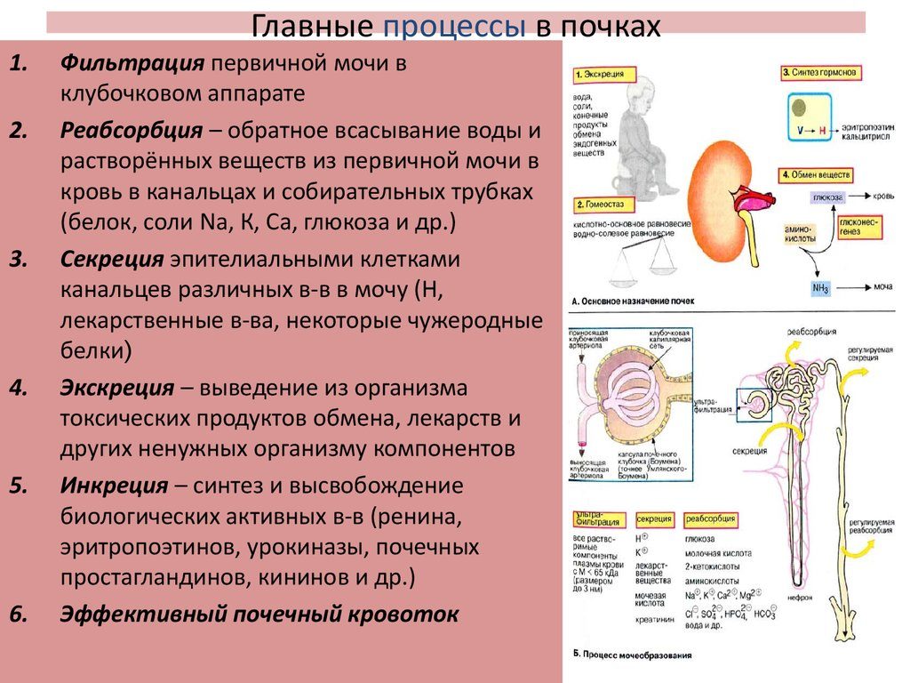 Плохая фильтрация почек