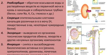 Плохая фильтрация почек