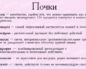 Что прокапать при болезни почек список лекарств