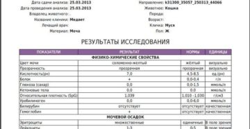 Какой анализ мочи сдавать при песке в почках