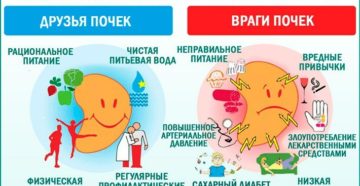 Профилактика заболеваний почек народными средствами
