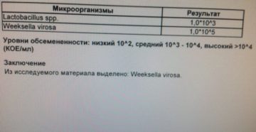 Бак посев беременным