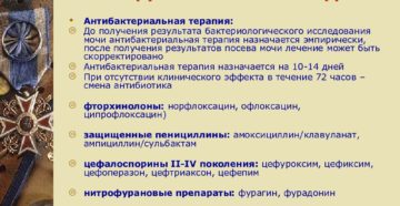 Лечение пиелонефрита по болотову