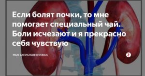 Болят почки высокая температура диагноз