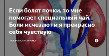 Болят почки высокая температура диагноз