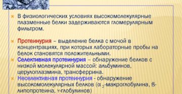Появление белка в моче называется