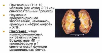 Гломерулонефрит почек что это такое исход заболевания