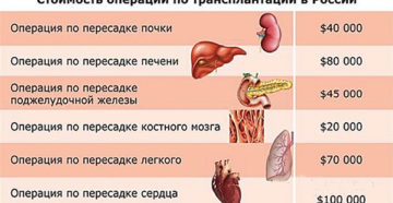 Сколько стоит почка человека в россии