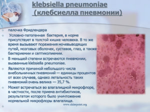 Клебсиелла пневмония в простате