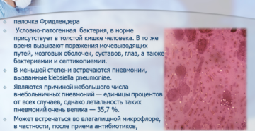 Клебсиелла пневмония в простате
