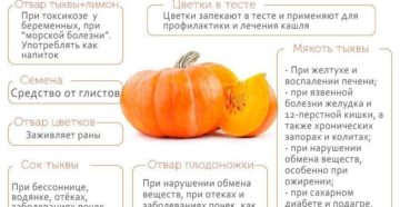 Тыква при воспалении почек