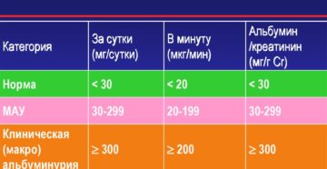 Альбуминурия что это