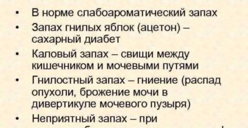 Преследует запах мочи