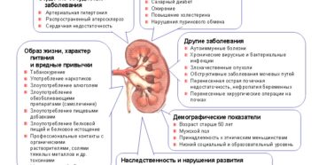 Что нужно принимать при болезни почек