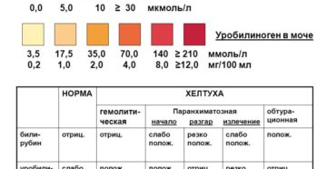 Повышен уробилиноген в моче у ребенка что это