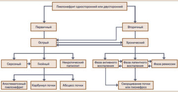 Хронический пиелонефрит клинические рекомендации