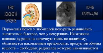Курение и почки