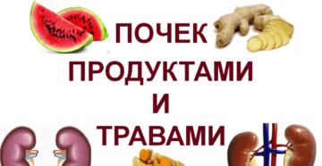 Продукты чистят почки
