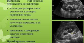 Признаки хронического пиелонефрита на узи почек