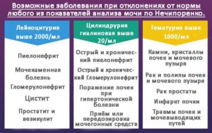 Анализ мочи по нечипоренко при гломерулонефрите