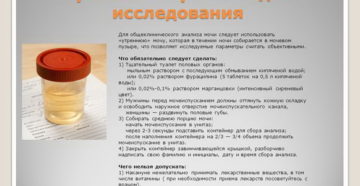 Можно ли сдавать вечернюю мочу на анализ