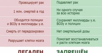 Сколько времени в организме держится канабинол