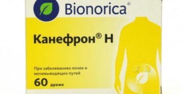 Какое лекарство хорошее для почек