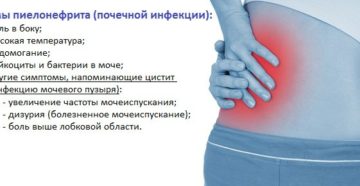 Если болят почки может ли болеть поясница
