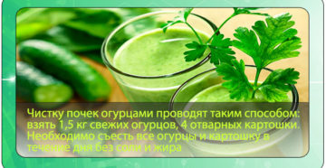 Чистка почек огурцами